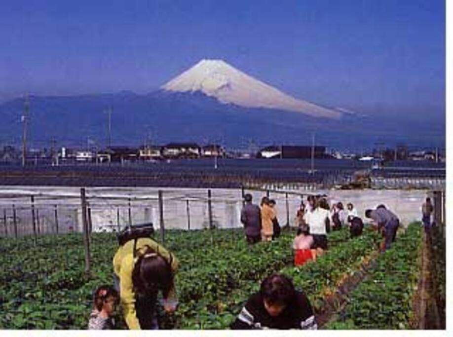 ゲストハウス+カフェわ　１日１組限定！ 築１００年の農家の古民家で宿泊体験、薪でお風呂沸かせます。焚き火もできます。 Kannami Exteriér fotografie